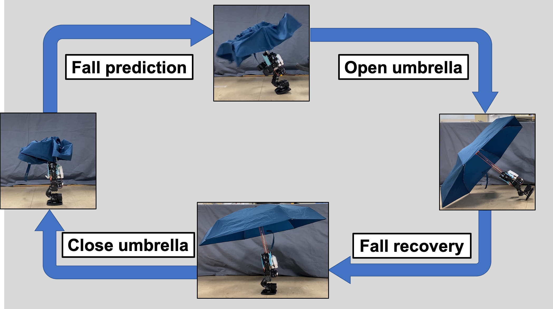 umbrella
