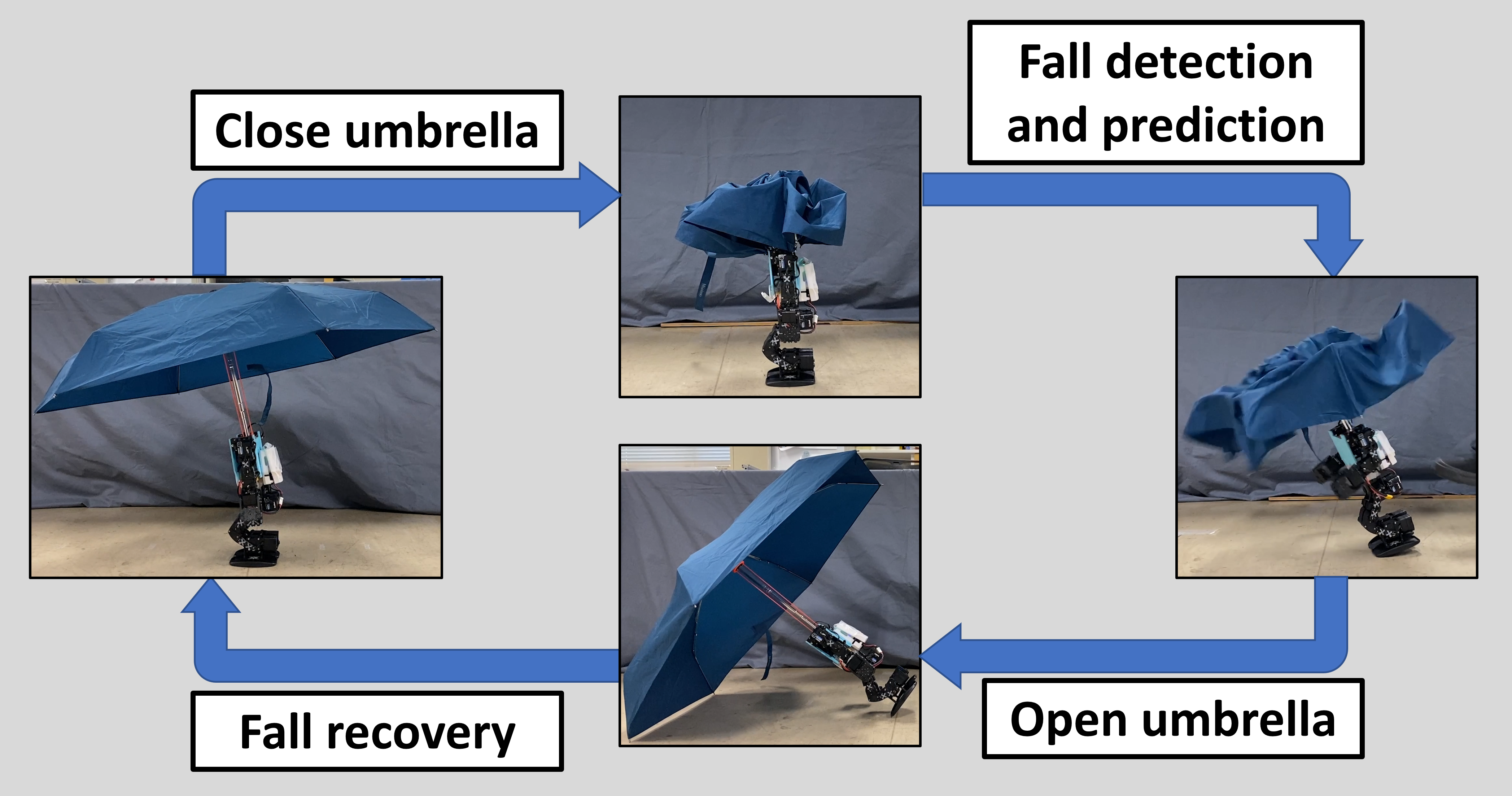 umbrella
