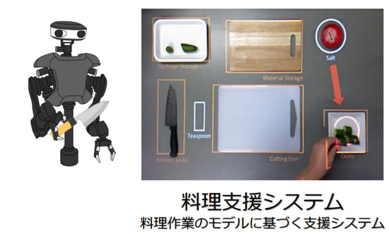 人間行動の観察