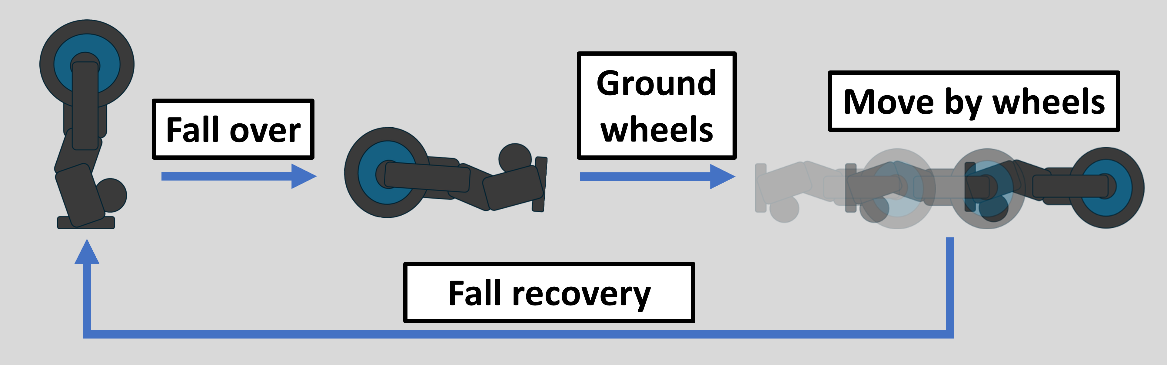wheel